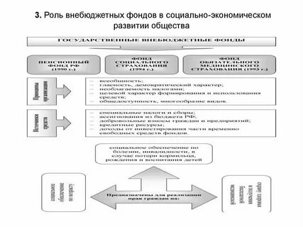 Внебюджетные фонды отчет по практике