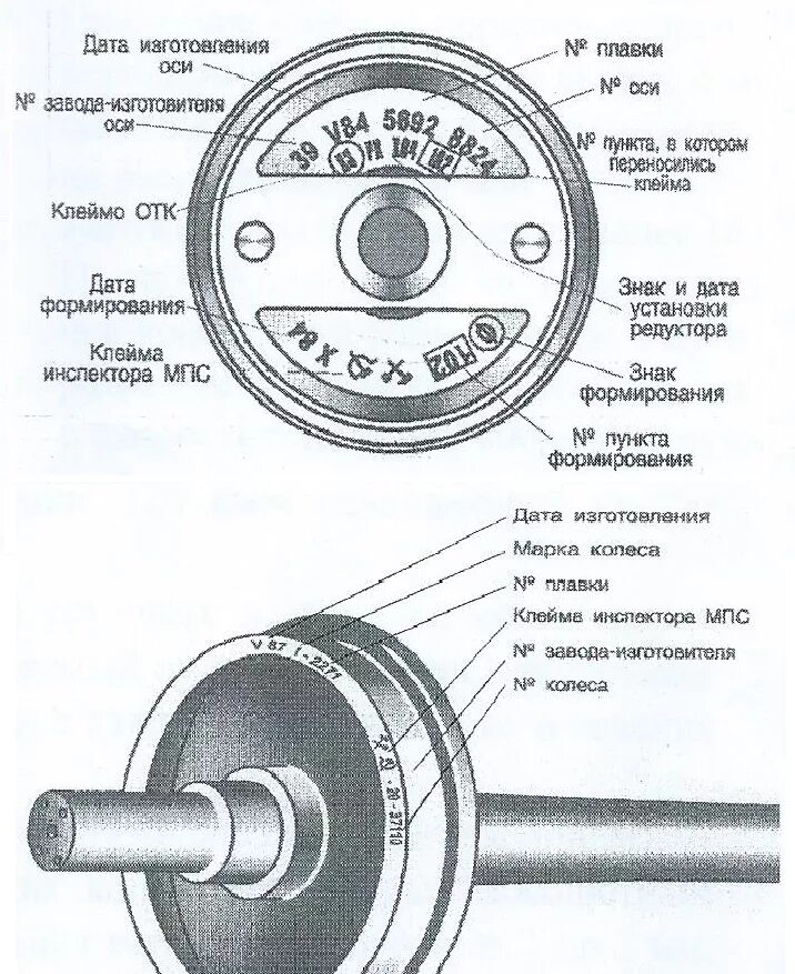 Оси расшифровка