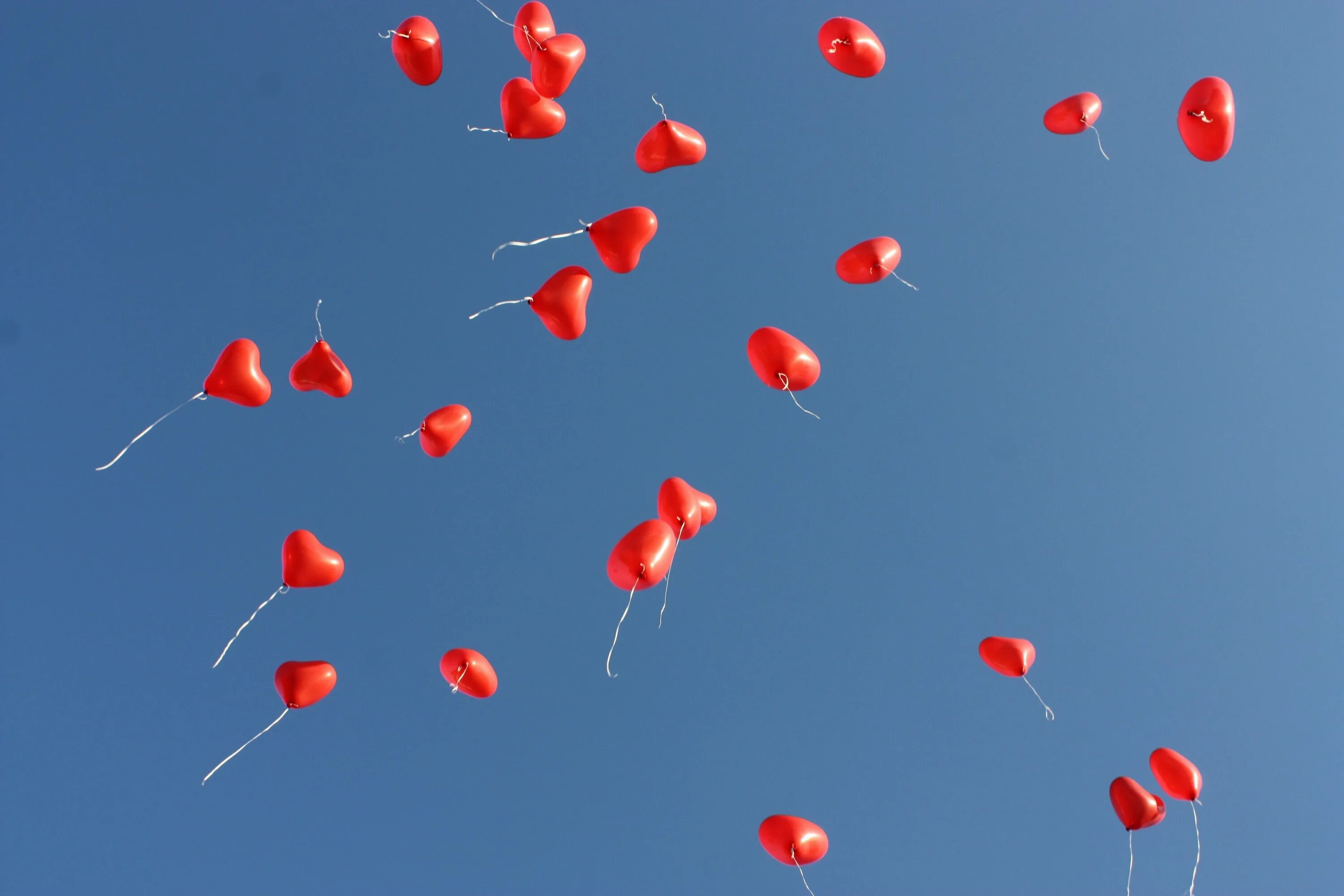 Красные шары в небе. Воздушные шарики в небе. Шары летят в небо. Красный воздушный шарик в небе. Сердце полетело