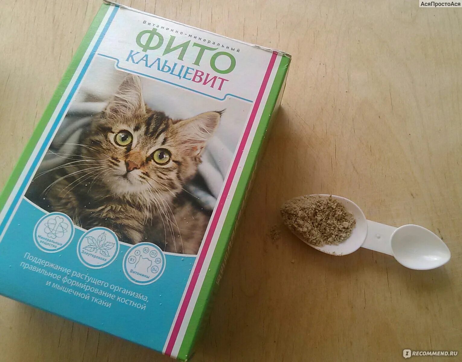фитокальцевит 250г д/кош. фитокальцевит для кошек. фитокальцевит для кошек 250г. фито кальцевита для кошек. фитокальцевит 250г д/кош.
