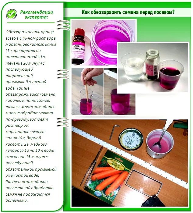 Обеззараживание семян перед посевом. Препараты для обработки семян перед посевом. Способы обработки семян. Обработка семян зерна перед посевом. Чем можно обработать семена