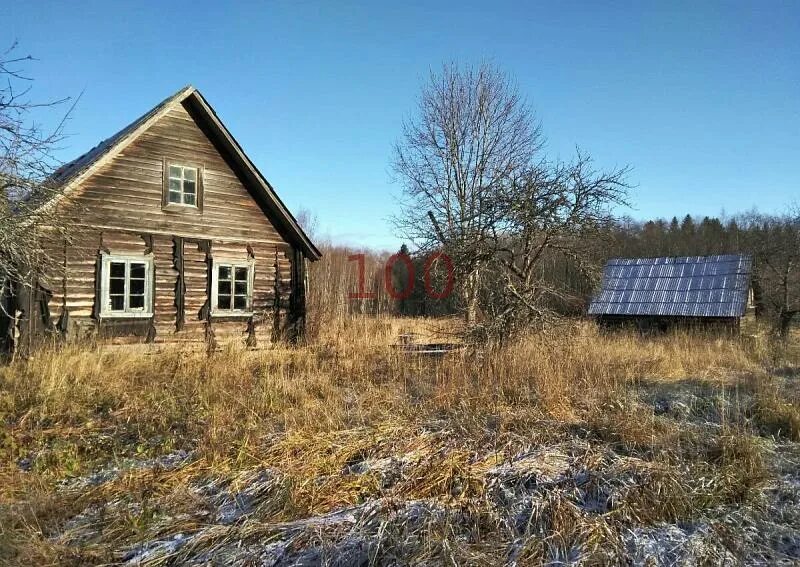 Деревня павлово псковская область. Павлово псковская область. Церковь покрова пресвятой богородицы псковская область. Молгово псковская область. Отрадное псковская область.