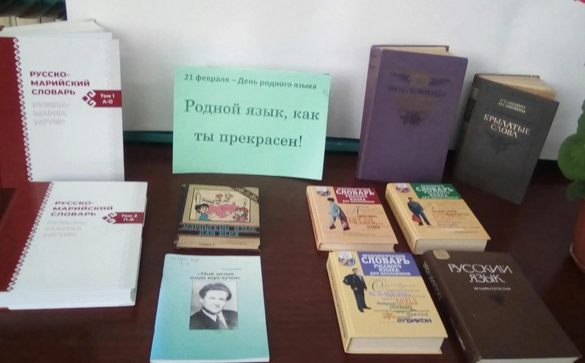 Книжная выставка родной язык. Выставка ко Дню родного языка. Выставка про родной язык. Международный день родного языка выставка в библиотеке.