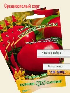Томат сахарная настасья описание сорта характеристика