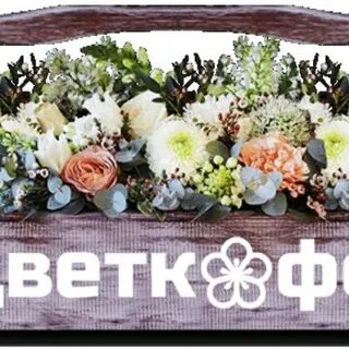 Цветкофф