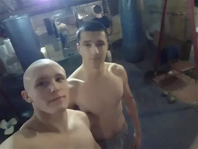 Фатея шипунова