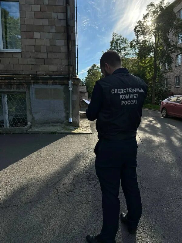 Куйбышева 11 петрозаводск. Гузунов ростислав алексеевич ск. Сотрудник следственного комитета. Александр дюжилов суск карелия. Здание мвд петрозаводск.