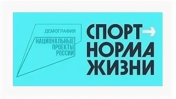 Норма жизни национальный проект