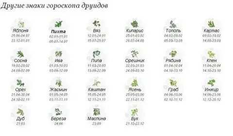 Гороскопы камень дерево