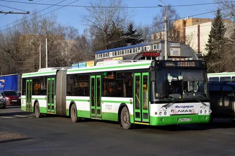 Автобус 1004 москва