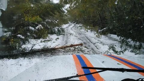 Погода в зейском районе амурской