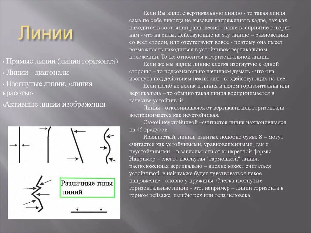 Что такое линия. Вогнутая линия. выпуклая и вогнутая линия. активные линии. виды изогнутых линий.