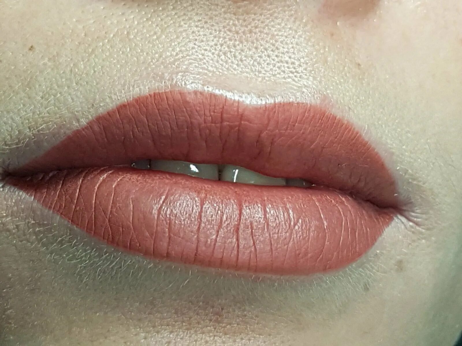 Помадные губы перманентный макияж. Перманент губ оттенки. Перманент губ цвет пион. Красно коричневая помада. Перманент губ палитра.