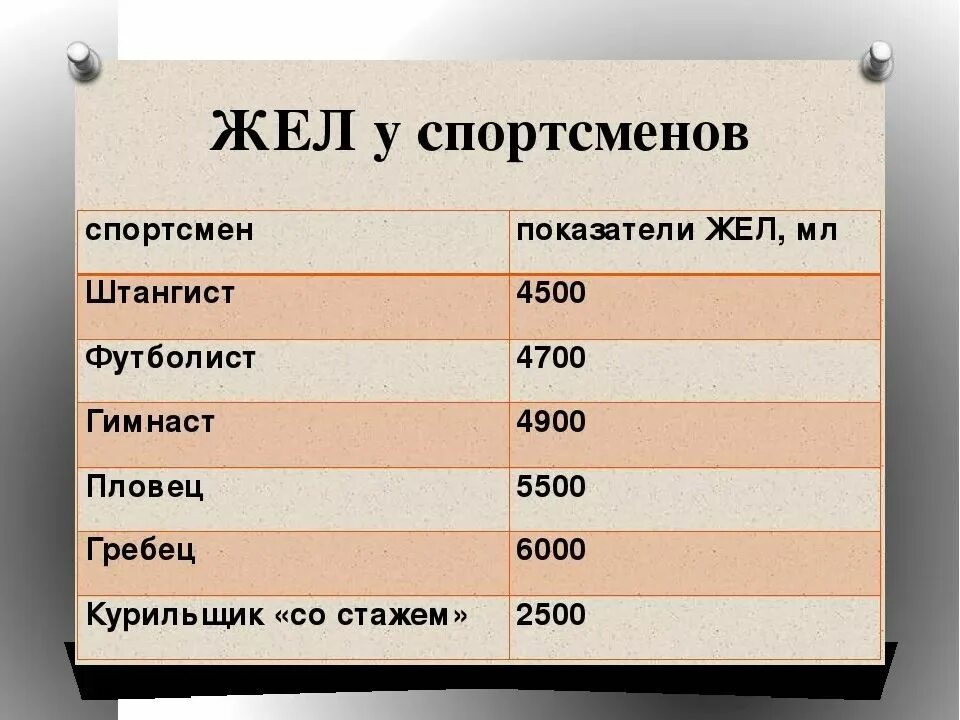 Жизненная емкость складывается из