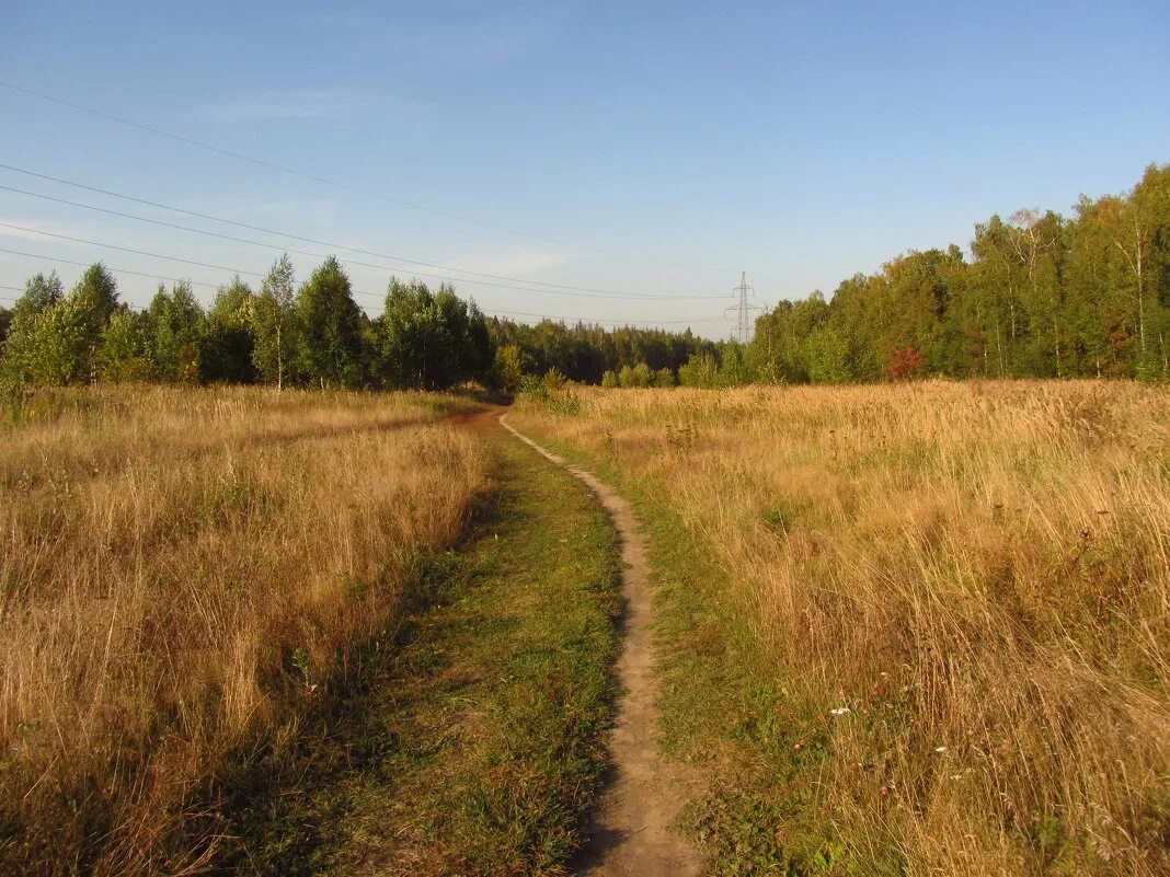стих вижу чудное приволье. родина вижу чудное приволье. чудное приволье. вижу чудное приволье вижу нивы и поля это русское раздолье. вижу чудное приволье.