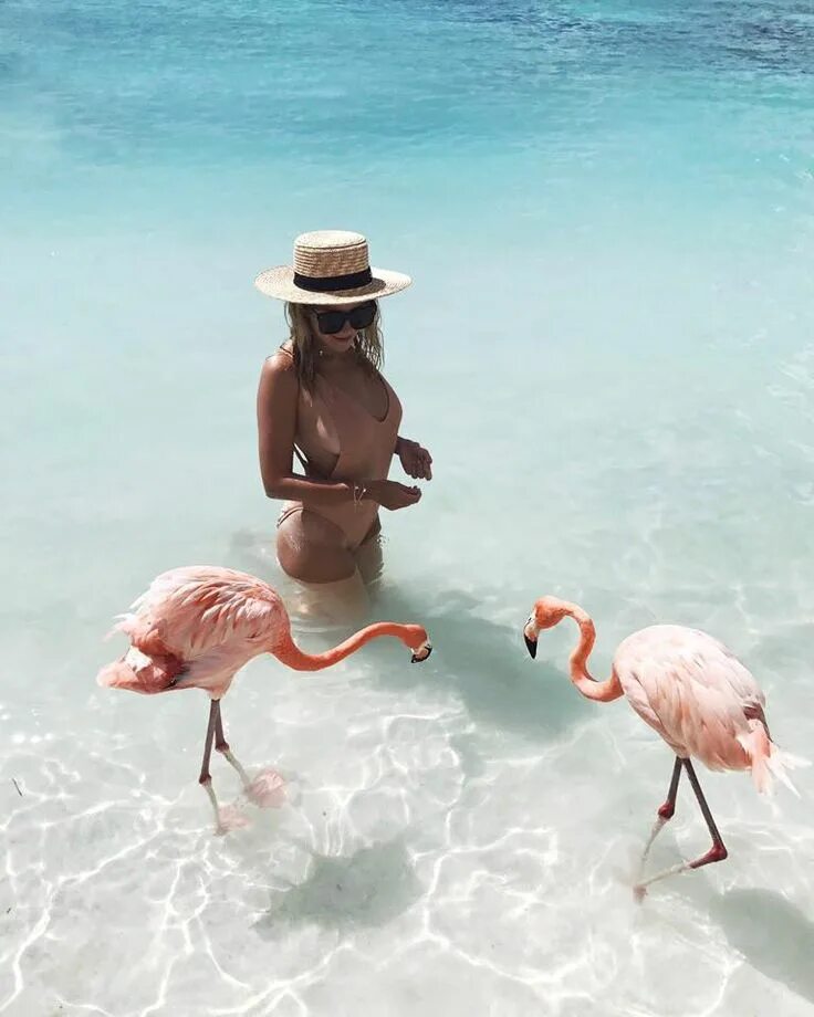Fun de fun. Кайо Коко Куба Фламинго. Кайо Коко розовые Фламинго. Кайо Гильермо Фламинго. Куба Кайо Коко Фламинго на пляже.