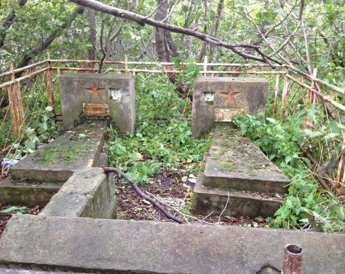 Заросшая могила. Заросшая могила. Могила заросла. Заросшая могила. Заросшая могила.