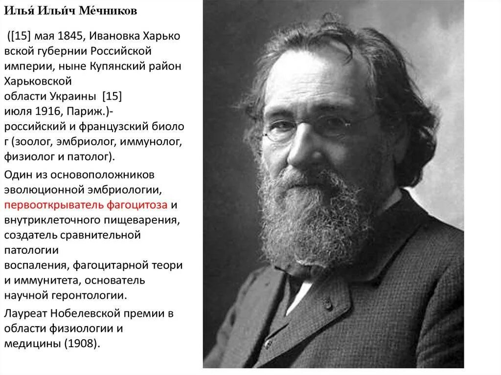 Фотографии ученых биологов. Ильи Ильича Мечникова (1845—1916).