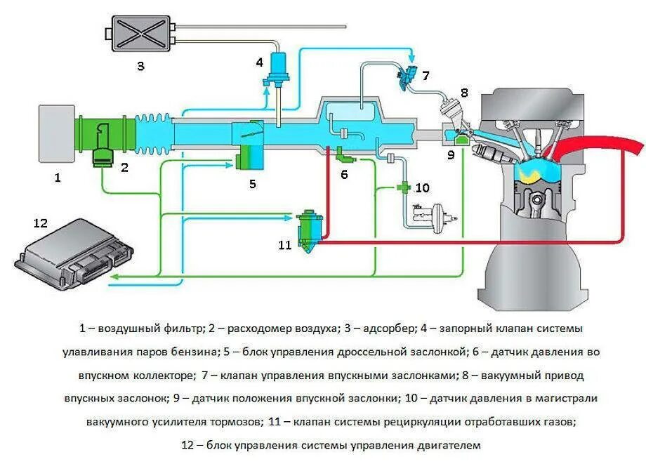 Схема системы питания двигателя с непосредственным впрыском. Схема впрыска топлива инжекторного двигателя. Схема непосредственного впрыска топлива в бензиновых двигателях. Схема инжекторной системы питания бензинового двигателя. Подача воздуха в цилиндры