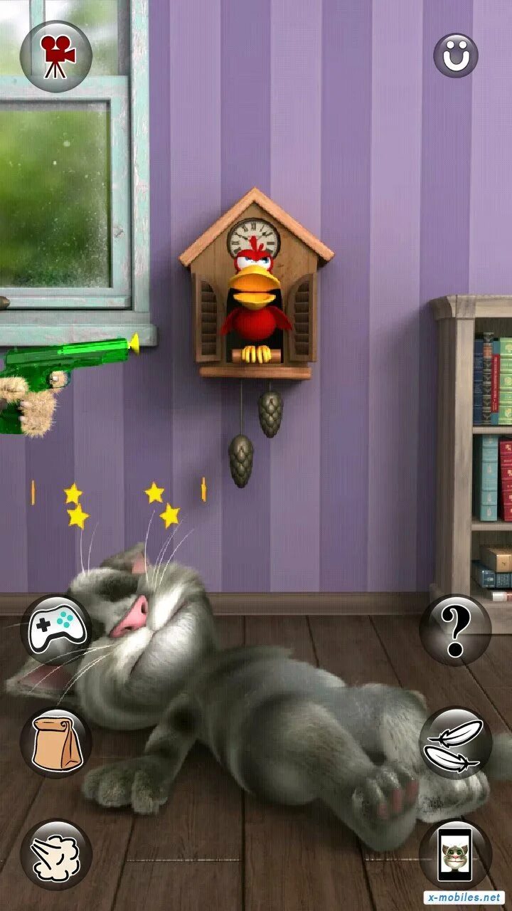 Дай игру кота