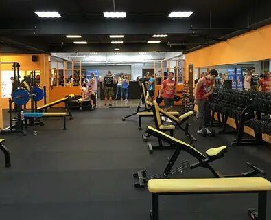 Спортзал медведь