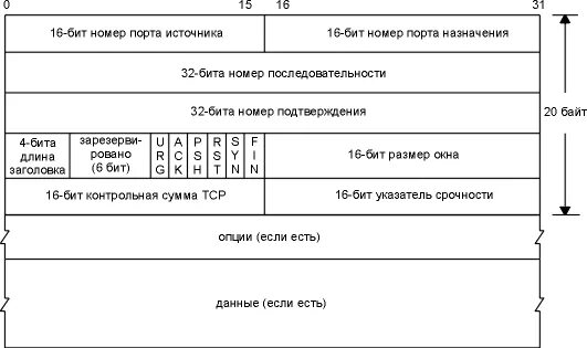 Пакет tcp ip структура. Структура tcp пакета. Структура tcp пакета. Заголовок пакета tcp. Структура заголовка tcp пакета.