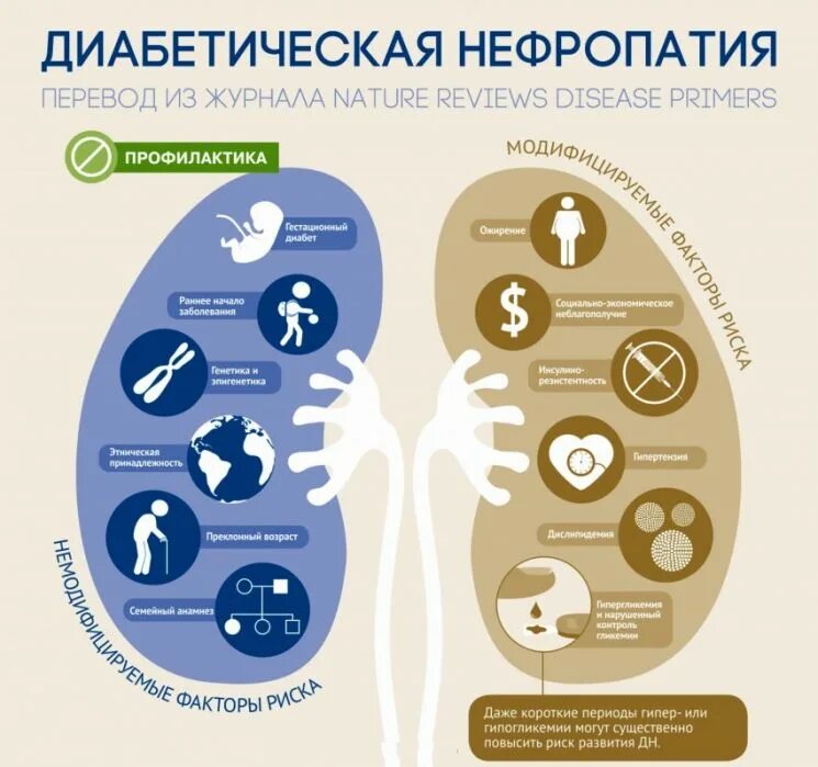 Почечный диабет. Развитие диабетической нефропатии. факторы риска диабетической нефропатии. осложнения сахарного диабета нефропатия. механизм развития диабетической нефропатии.