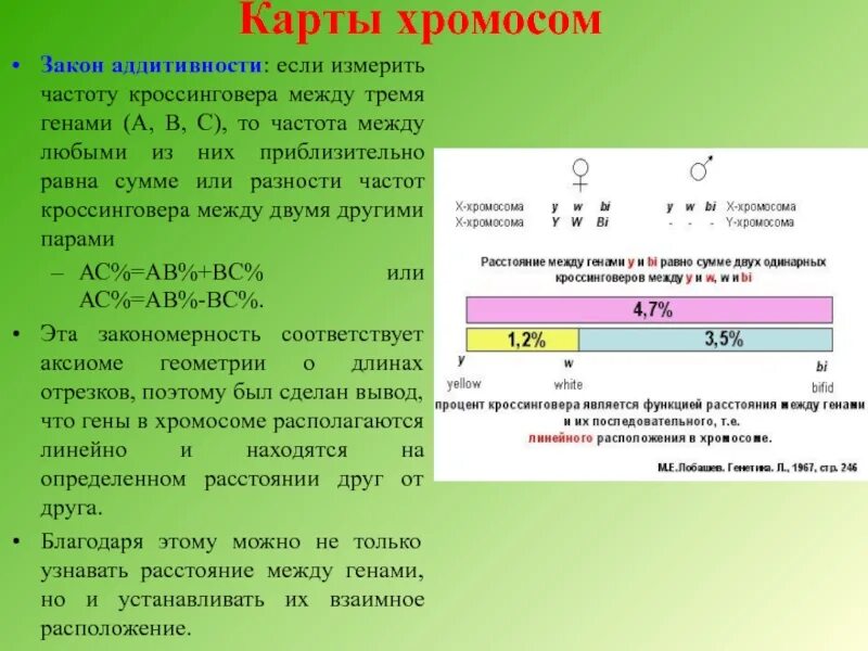 Расстояние между генами. Частота кроссинговера между генами. Определить расстояние между генами. Расстояние между генами как. 3 гена расстояние