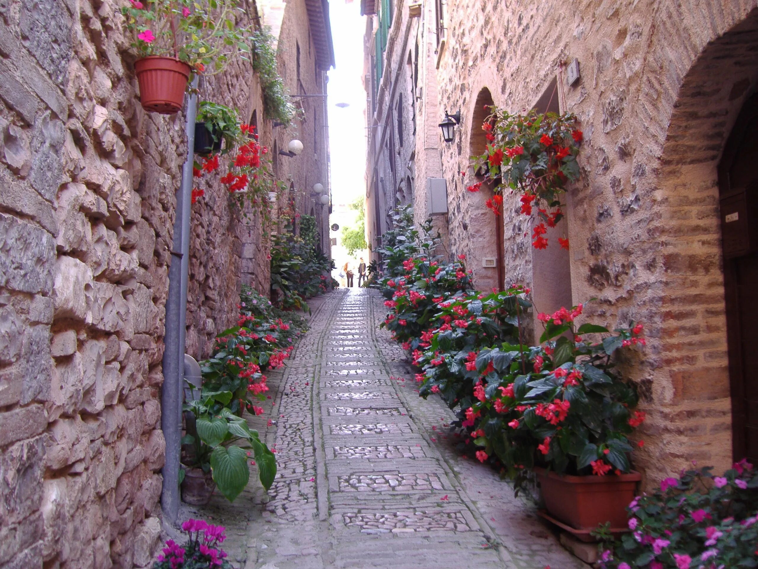 Street of flowers. Улицы Италии Спелло. Спелло Умбрия Италия. Цветочные улицы Спелло, Умбрия, Италия. Спелло Умбрия итальянская деревня.