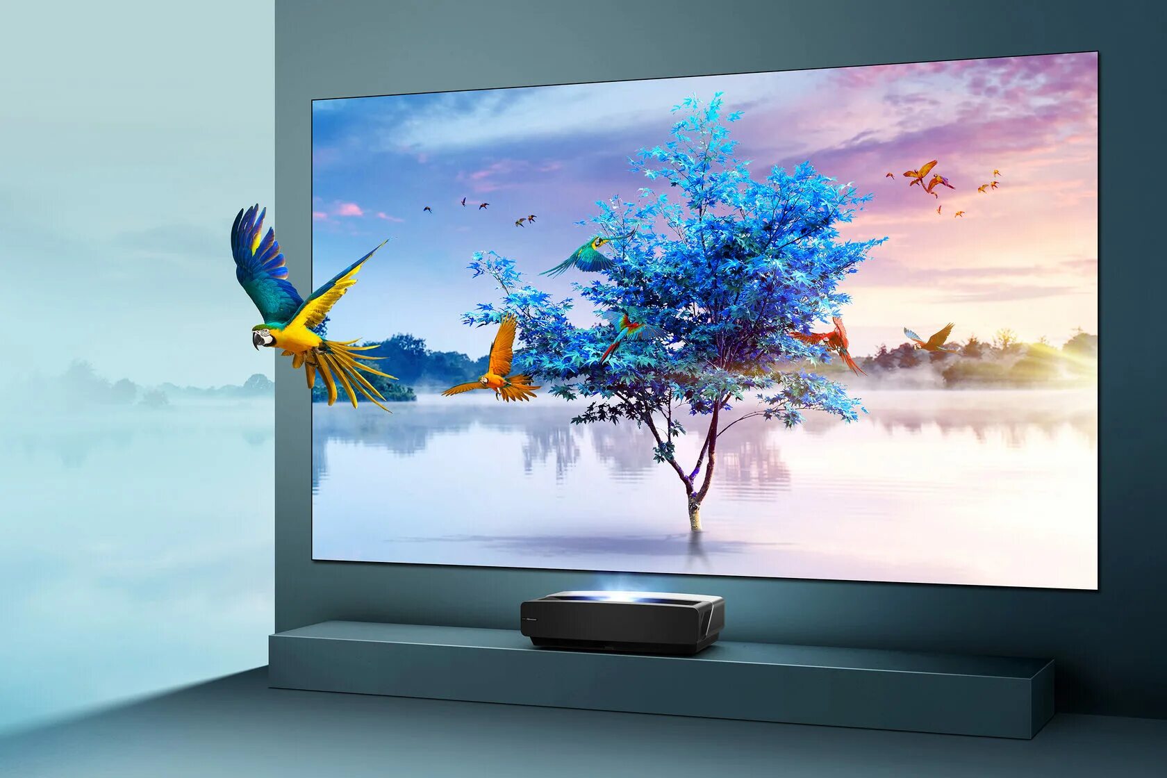 Телевизор hisense 75e7kq. Телевизор Hisense 55 дюймов. Hisense Laser TV 100l5f. Телевизор Hisense 55 дюймов 2022. Телевизор Хайсенс 65 дюймов.