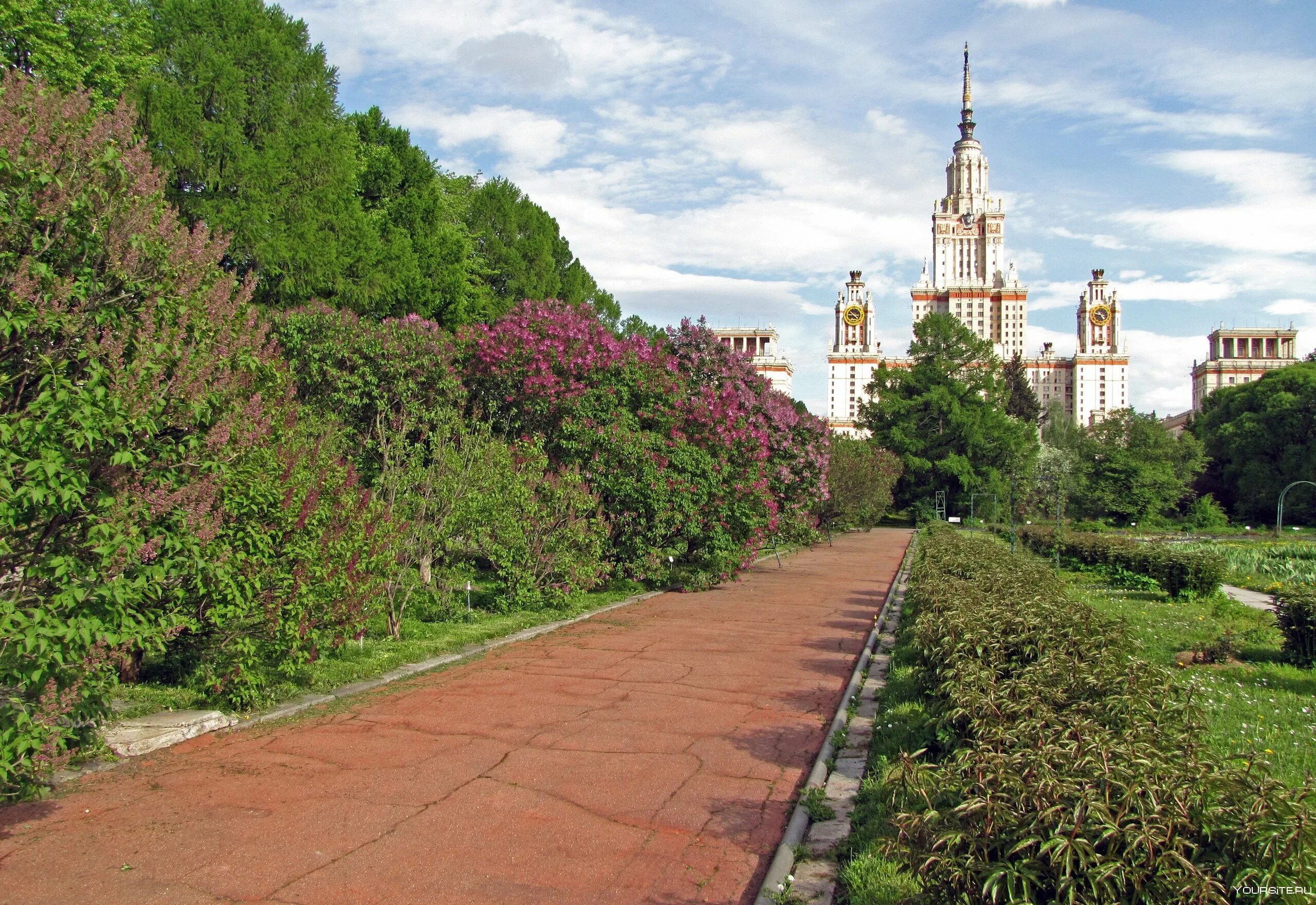 Ботанический сад мгу москва отзывы. Ботанический сад МГУ Москва. Ботанический сад МГУ Аптекарский огород. Ботанический сад МГУ на Ленинских горах. Ботанический сад Москва МГУ Ломоносов.