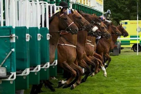 Ascot horse racing