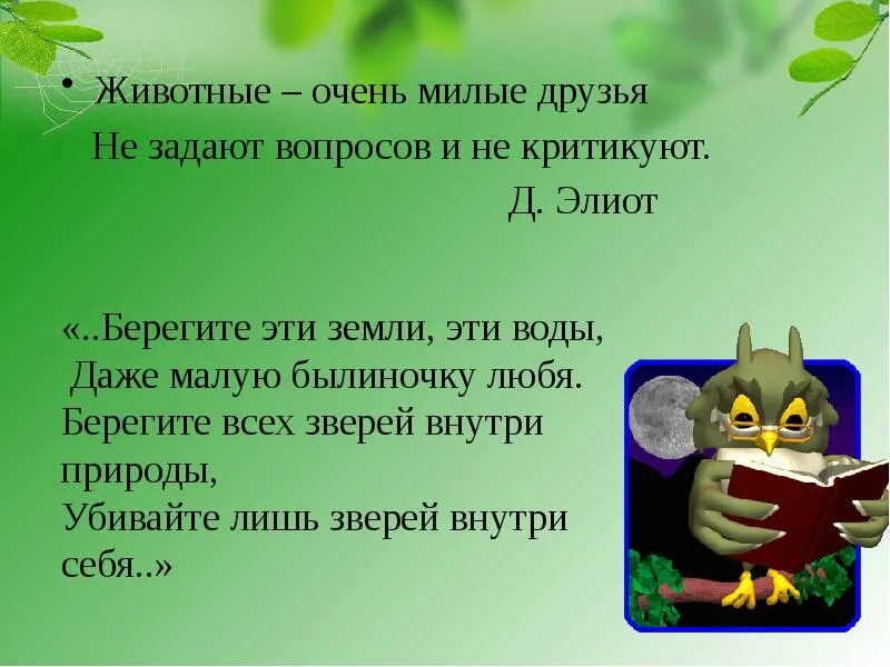 Роль млекопитающих в жизни человека сообщение. Сообщение на тему роль млекопитающих в природе и жизни человека. значение птиц и млекопитающих в природе и жизни человека. сообщение про значение млекопитающих в жизни человека. положительная роль млекопитающих в природе.