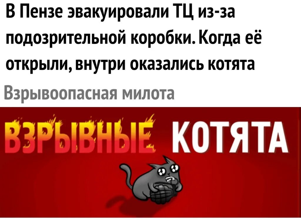 Лучше перебдеть чем недобдеть картинка. Лучшие перебздеть чем недобздеть. Перебздеть это. Лучше перебздить сем не добздить. Лучше недобдеть чем перебдеть потому.