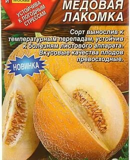 Дыня лакомка