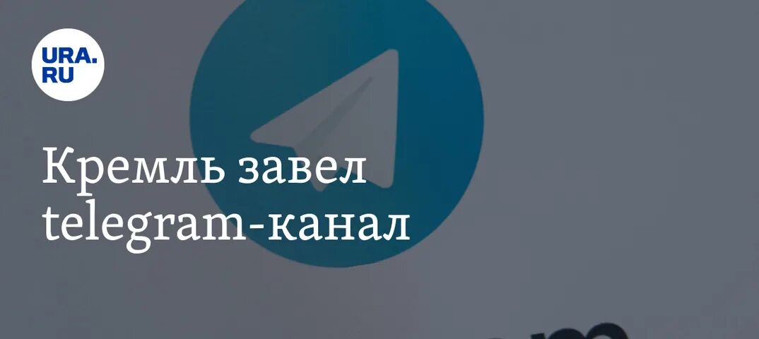 Димитриев телеграмм канал