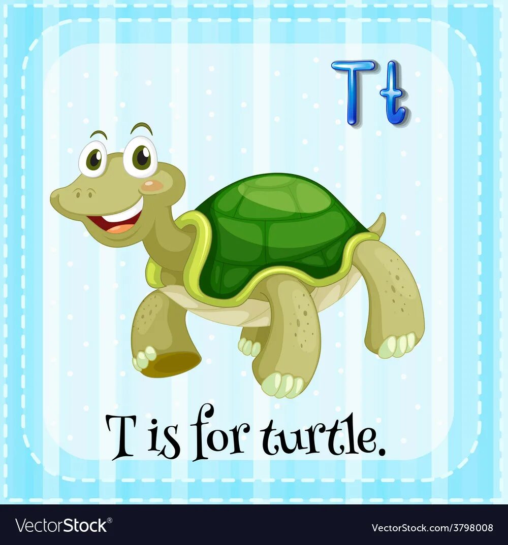 T is for Turtle. Черепаха на англ. T is for. Flashcard for Turtle.
