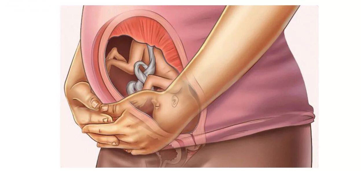 Шевеления ребёнка в животе. Шевеление малыша на 27 неделе беременности. Шевеление ребенка в животе на 27 неделе.