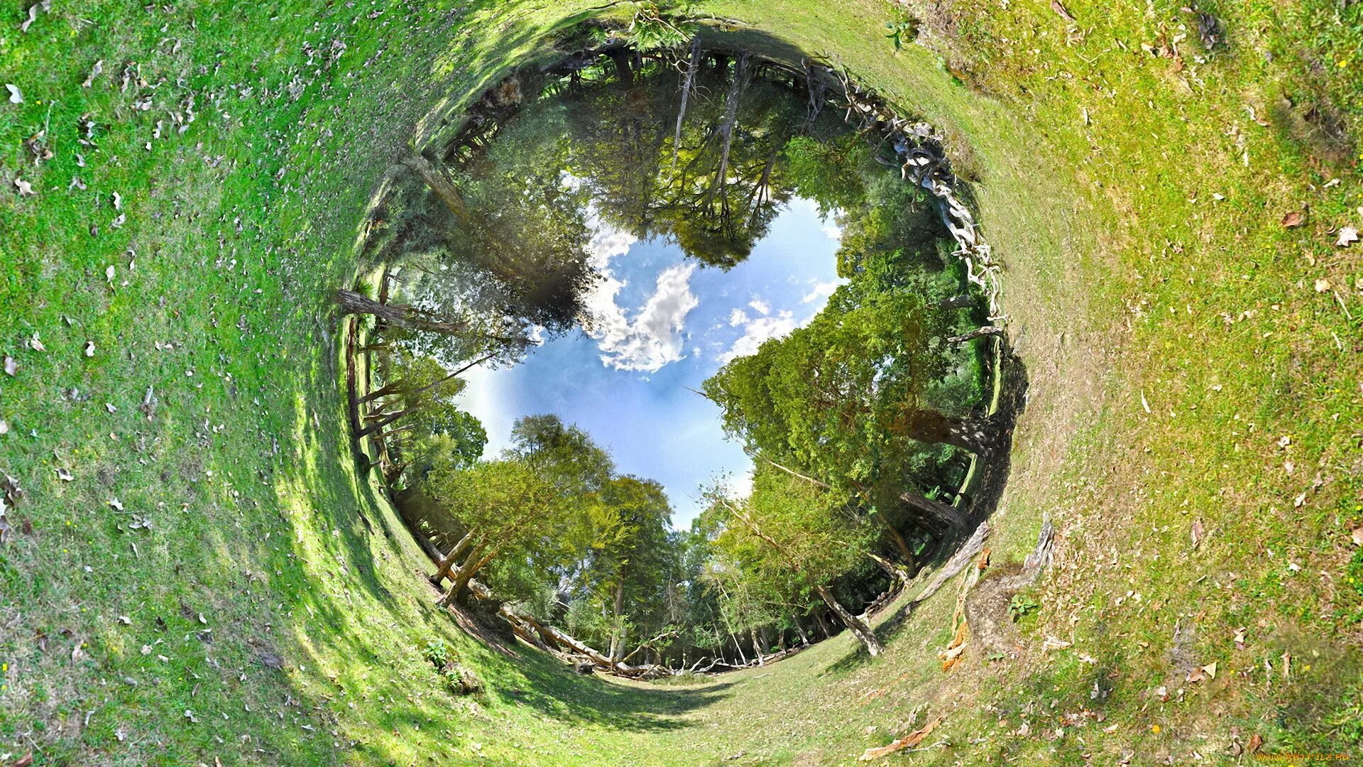 Фото округлое. Сферическая панорама природа. Круг в природе. Круглое в природе. Сферическая панорама лес.