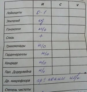 Как узнать результат мазка на ковид
