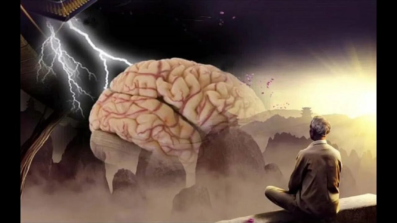 Что определяет ум человека. Разум мышление. Ум и разум. Человеческий ум. Ум разум сознание.