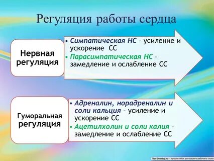 Кальций адреналин
