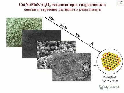 Каталитическую структурную запасающую гормональную сократительную энергетическую
