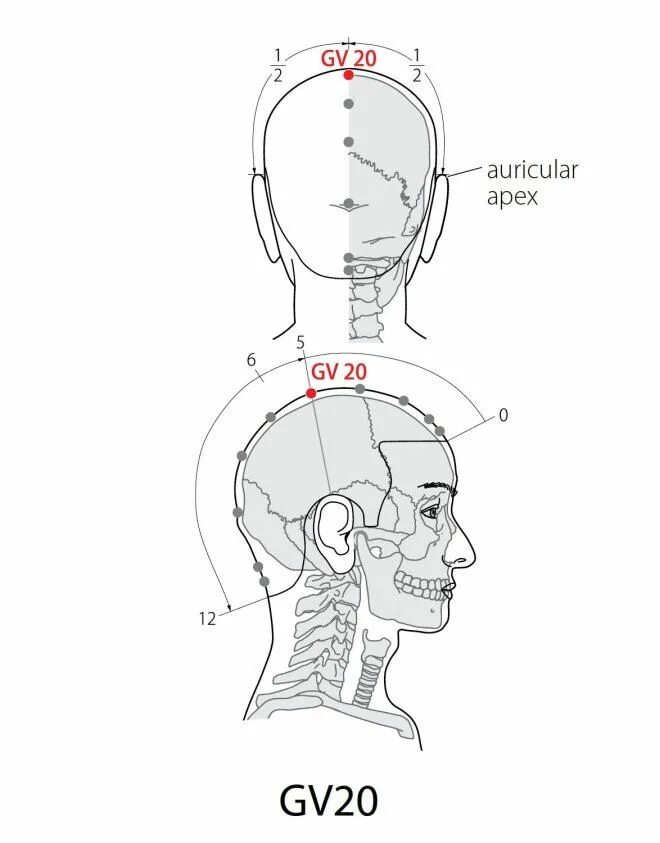 Точка на макушке головы бай Хуэй. VG 20 бай Хуэй. Vg20 точка акупунктуры. Точка gv20. Точка 20 на телефон