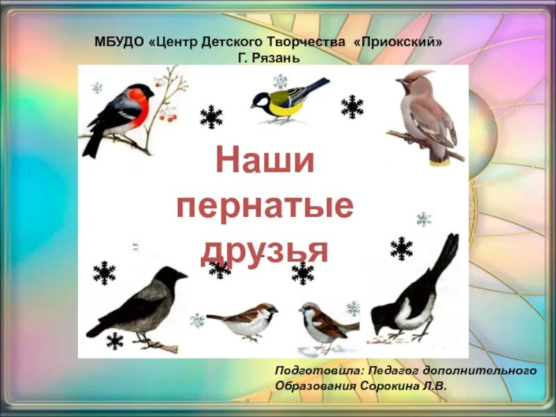 Презентация пернатые друзья. Наши пернатые друзья. Наши пернатые друзья презентация.