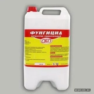 Краска от плесени