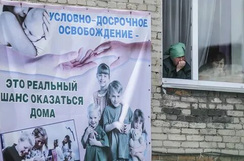 Не одна дома содержание