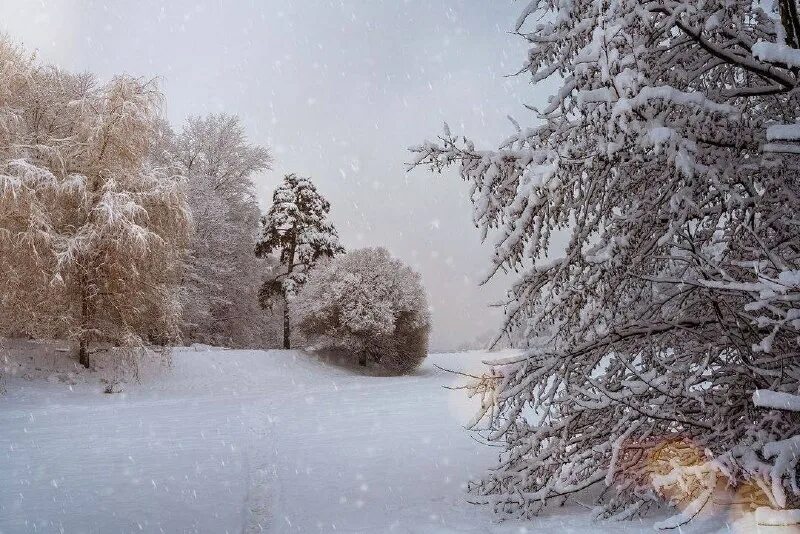 Температурная карта. Февраль 2023. Есть ли снег в казахстане. Какой ожидается зима 2023. Февраль 2023.