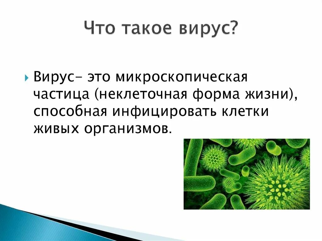 Бактерии и вирусы 5 класс биология презентация. Вирус. Бирус. Вир. Вирусы кратко.