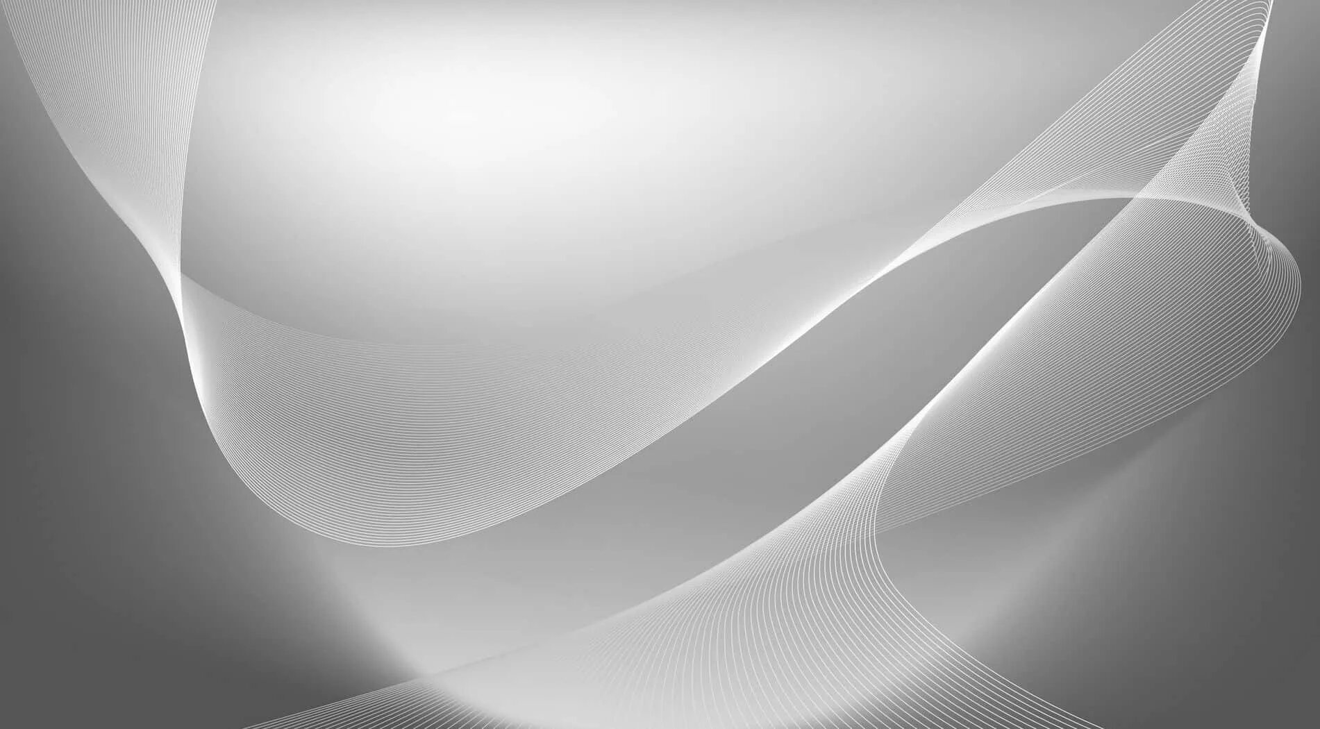 Transparent wallpaper. Градиент цвета. Красивый белый фон. Стильный фон. Светлый фон.